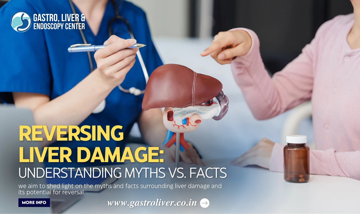 Reversing Liver Damage: Understanding Myths vs. Facts