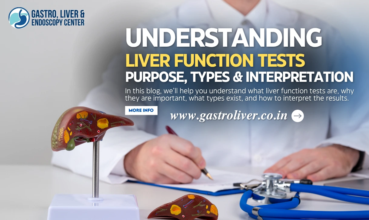 Liver Function Tests Guide – Procedure, Uses & Interpretation