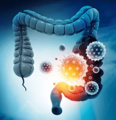 Colonoscopy - Top/Best Colonoscopy Clinic at Indirapuram/Ghaziabad, Uttar Pradesh